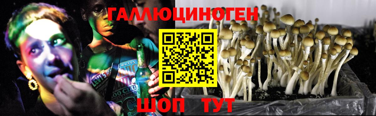 Псилоцибиновые грибы мухоморы Стерлитамак